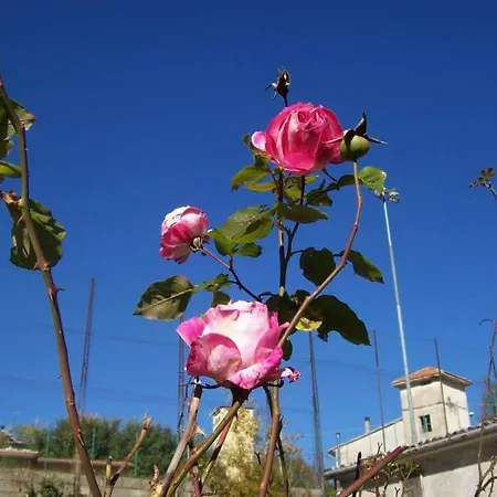 Casa vacanze Alloggio Agrestini *