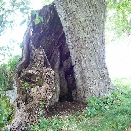 Casa vacanze Alloggio Agrestini