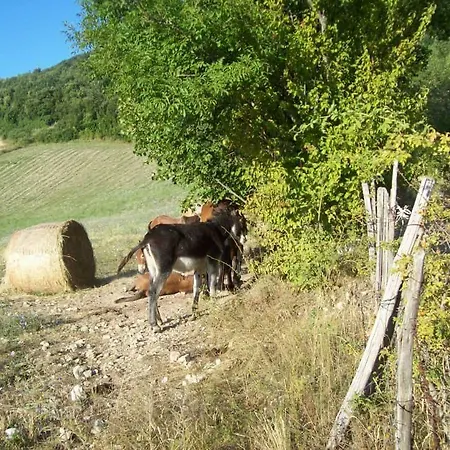 Alloggio Agrestini Casa vacanze