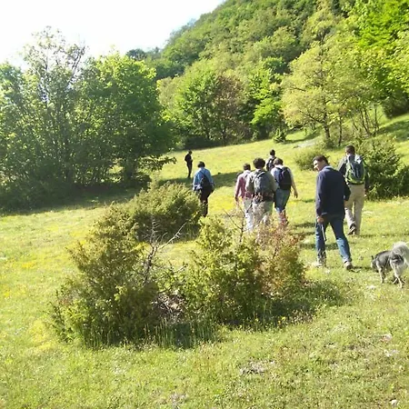 Alloggio Agrestini * Poggiodomo